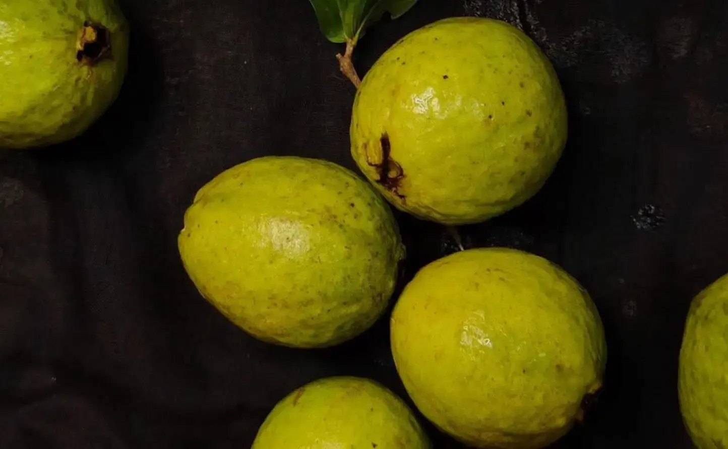 রাজশাহীর বাণিজ্যিক খামারের পেয়ারায় ভারী ধাতুর উপস্থিতি, গবেষকদের সতর্কবার্তা