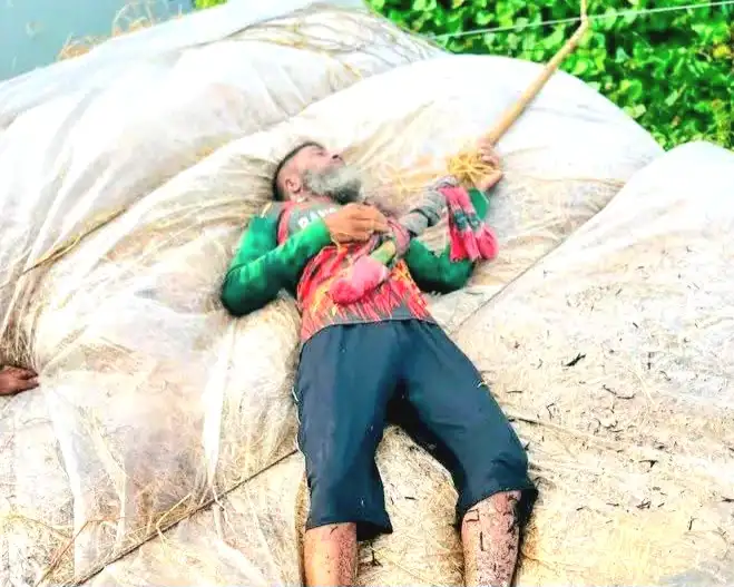 চলনবিলে ঝুলন্ত বিদ্যুৎ তারে প্রাণ গেল খড় ব্যবসায়ীর