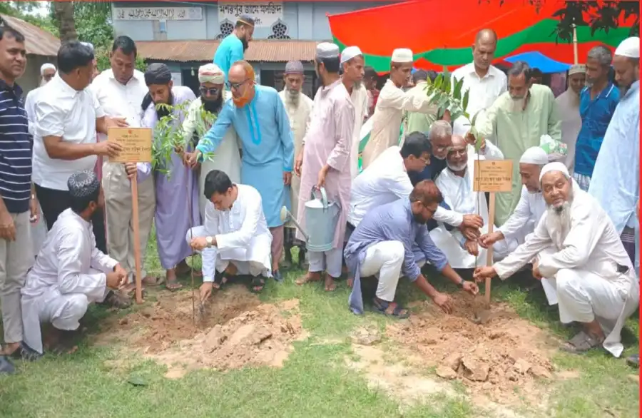 নওগাঁয় পরিবেশ ভারসাম্য রক্ষায় ৮ হাজার ধর্মীয় প্রতিষ্ঠানে বৃক্ষরোপণ কর্মসূচি শুরু