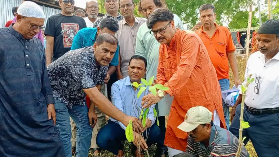 মেহেরপুর পৌর জাসাসের উদ্যোগে গাছের চারা রোপণ ও বিতরণ