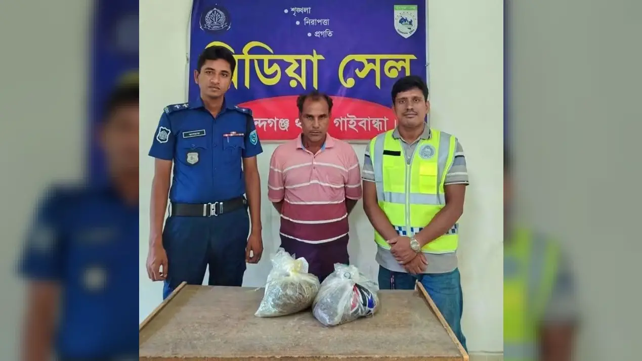 গোবিন্দগঞ্জে ৩ কেজি গাঁজাসহ মাদক কারবারি গ্রেফতার, আদালতের মাধ্যমে জেলহাজতে