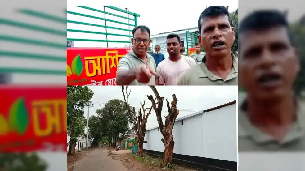 নওগাঁয় সরকারি গাছের মাথা কেটে ফেলা ও সাংবাদিকের ফুটেজ মুছে দেওয়ার অভিযোগ